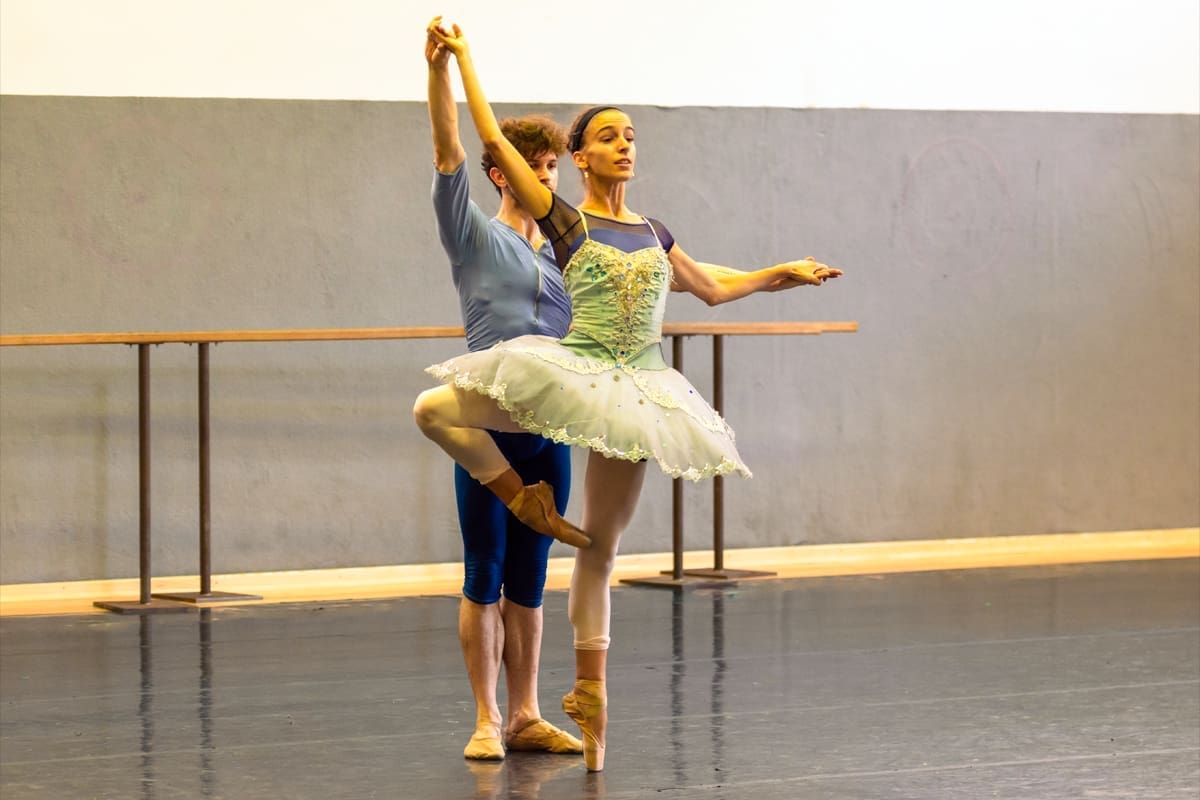 image of pas de deux